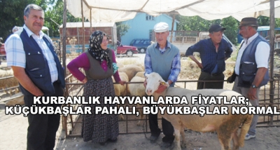 Kurbanlık Hayvanlarda Fiyatlar; Küçükbaşlar Pahalı, Büyükbaşlar Normal